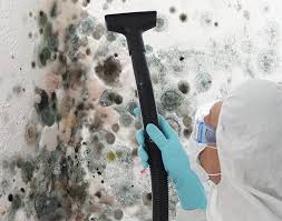 Best Air Quality Testing for Mold Spores  in Griggsvle, IL